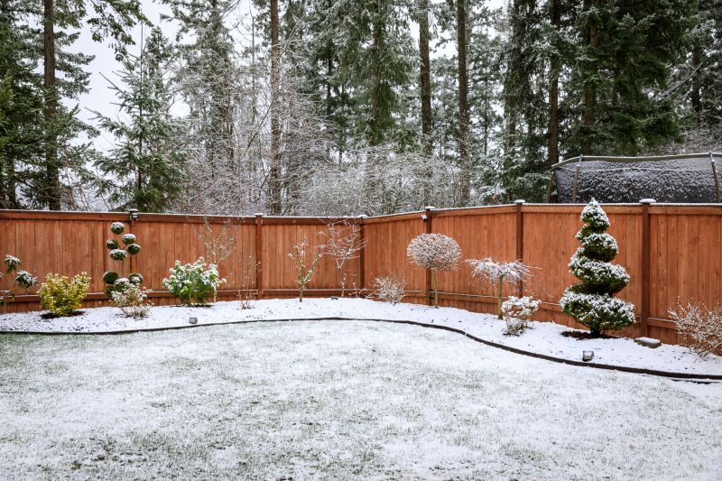 Fenced Yard with Holiday Decorations